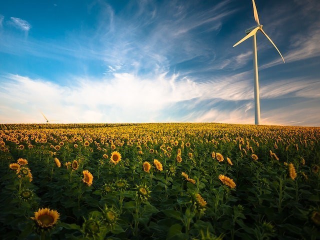 Roadmap for Decarbonization of the Plastics Industry